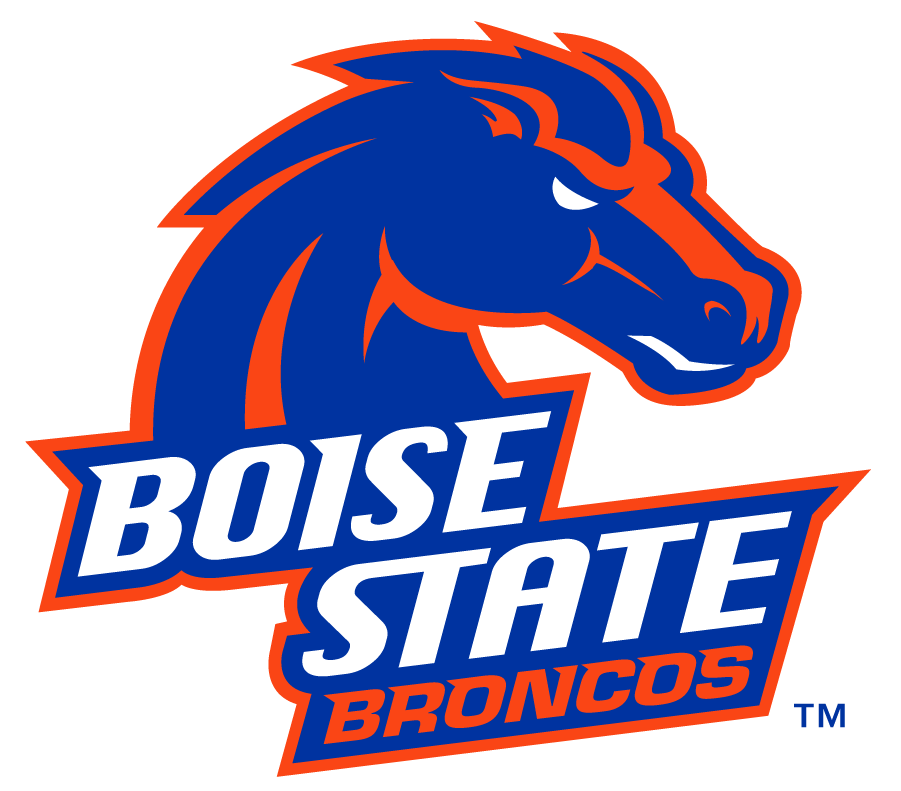 Boise State Broncos 2012-2013 Secondary Logo v2 t shirts iron on transfers